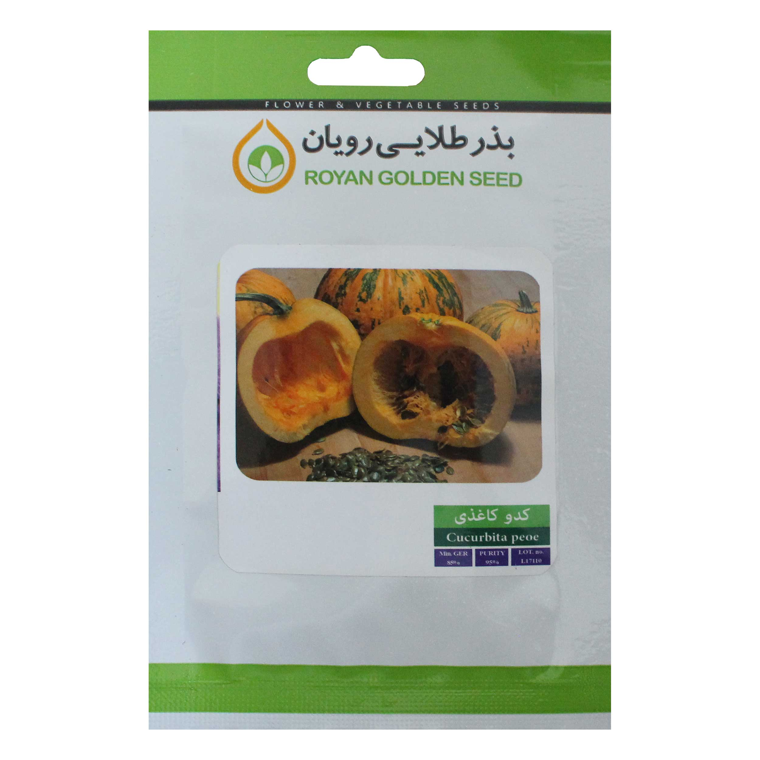 بذر کدو کاغذی بذر طلایی رویان مدل BZTR-070