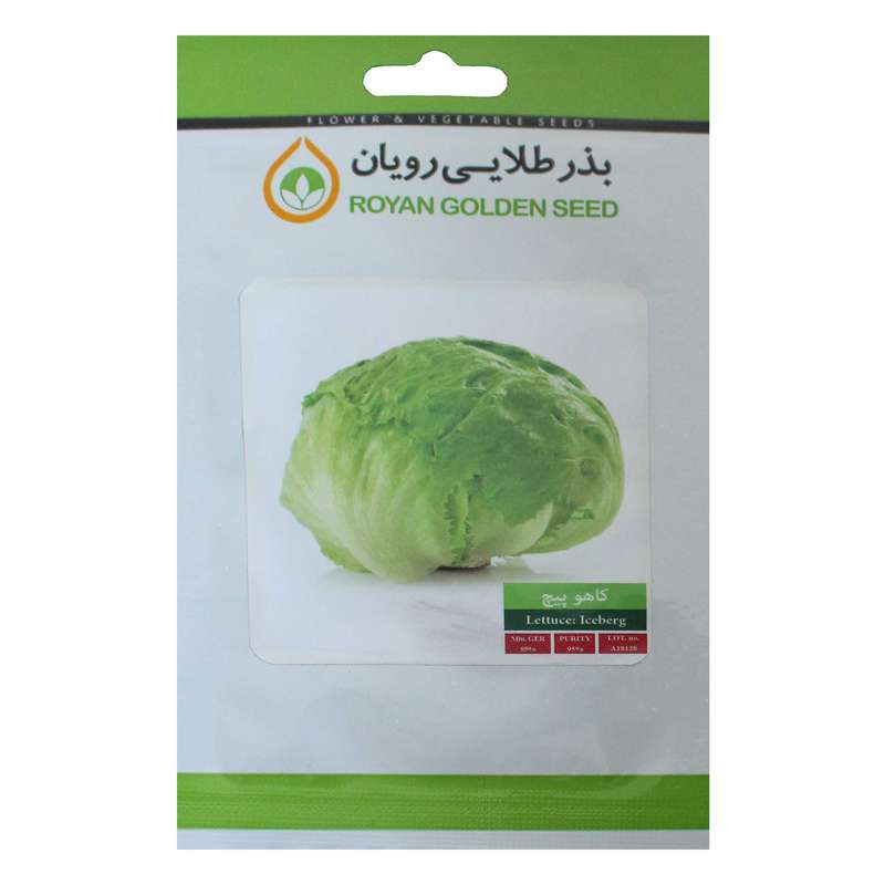 بذر کاهو پیچ بذر طلایی رویان مدل BZTR-071