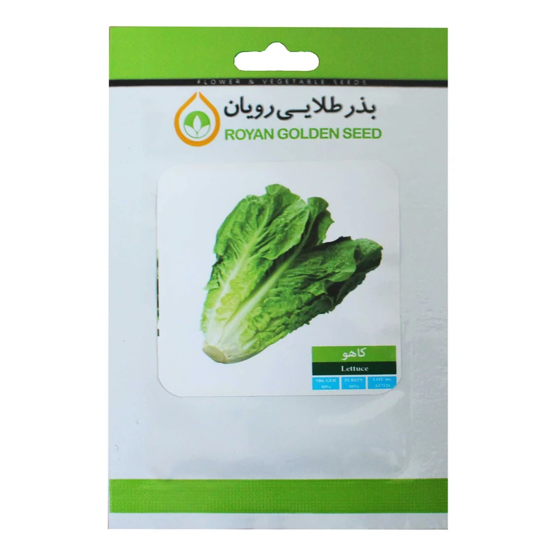 بذر کاهو بذر طلایی رویان مدل BZTR-072