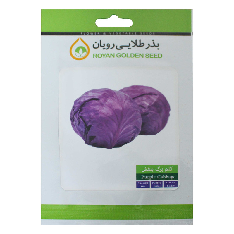 بذر کلم برگ بنفش بذر طلایی رویان مدل BZTR-074