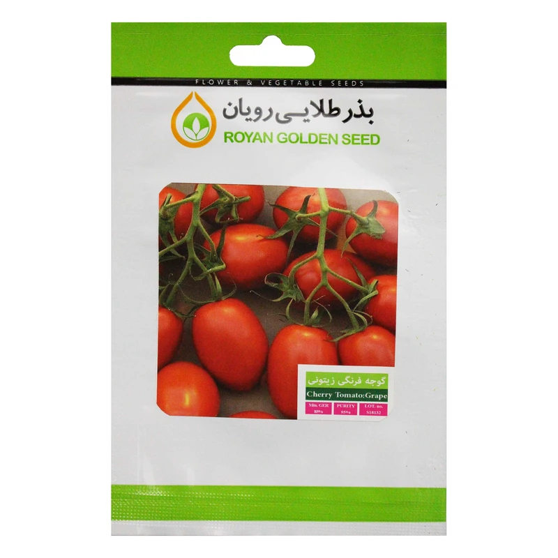 بذر گوجه فرنگی زیتونی بذر طلایی رویان مدل BZTR-080