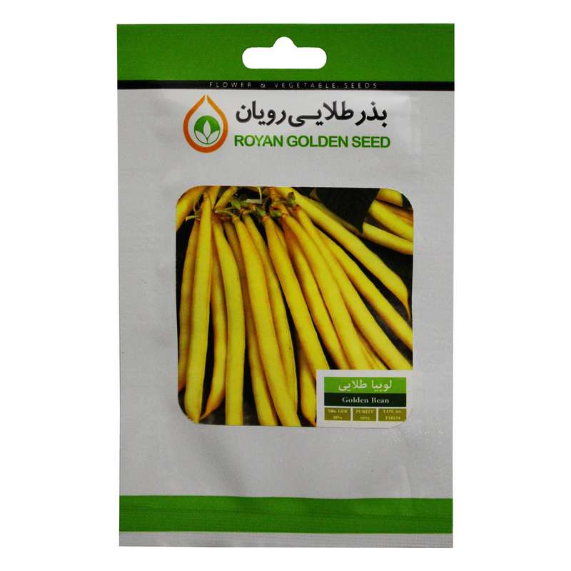 بذر لوبیا طلایی بذر طلایی رویان مدل BZTR-083