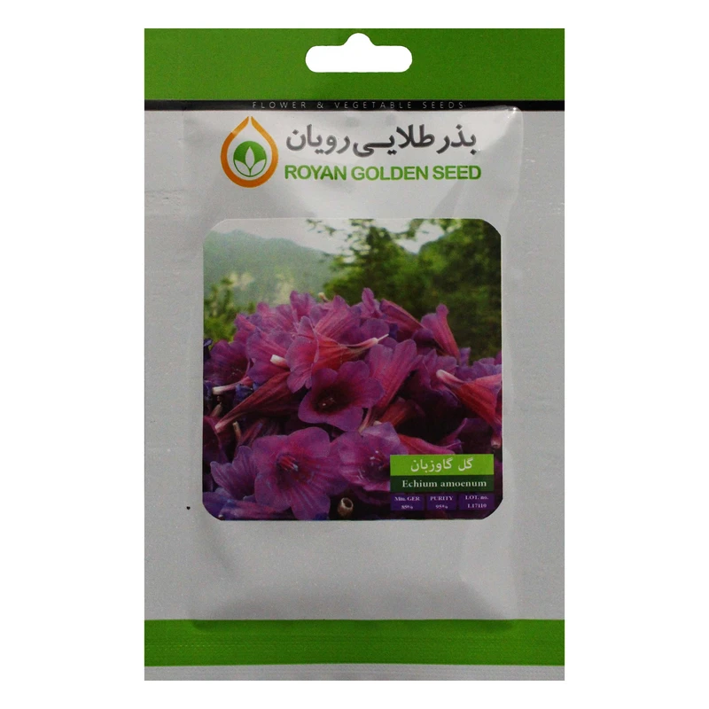 عکس شماره 2 : بذر گل گاو زبان بذر طلایی رویان bztr-106