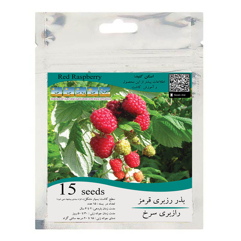 بذر رزبری قرمز مدل GL15