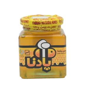 عسل چهل گیاه پادنا - 420 گرم