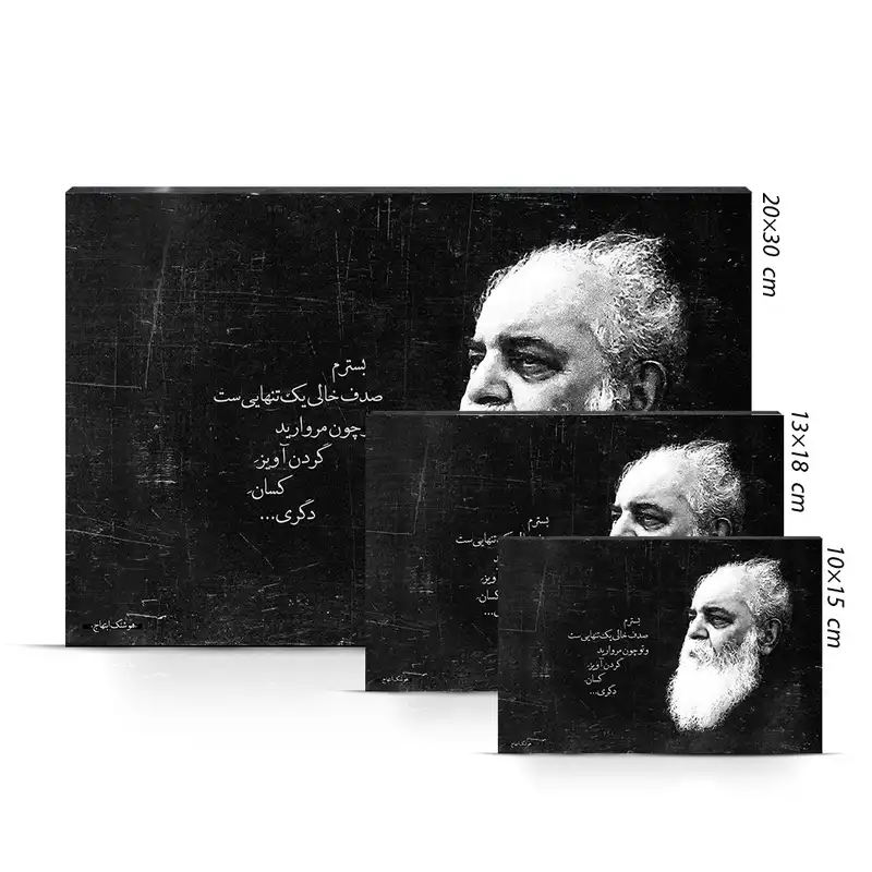 تابلو شاسی مدل هوشنگ ابتهاج کد S111