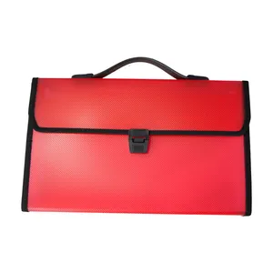 Locking Expanding File CY-422 Size A4