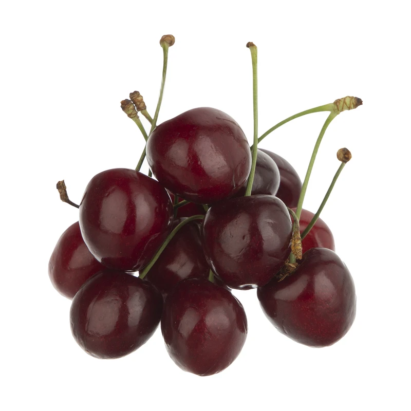 گیلاس بلوط - 1 کیلوگرم