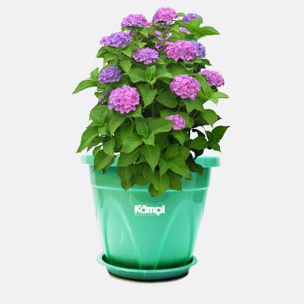 گلدان کامل کد 303 گلدان کامل کد 303