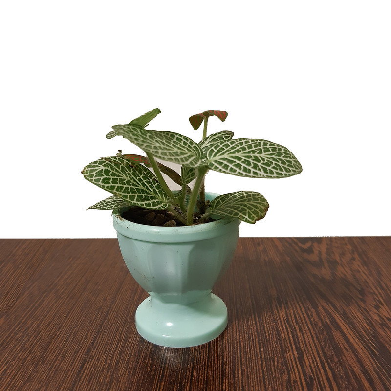 گلدان مدل GP2020 مجموعه 3 عددی