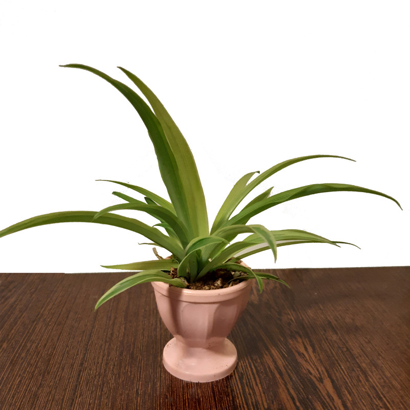 گلدان مدل GP2020 مجموعه 3 عددی