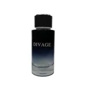  ادوپرفیوم مردانه فراگرنس مدل DIVAGE حجم 100 میلی لیتر