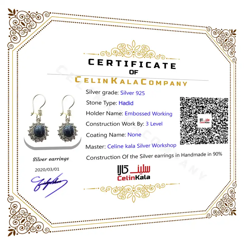 گوشواره نقره زنانه سلین کالا مدل Ce-ha5