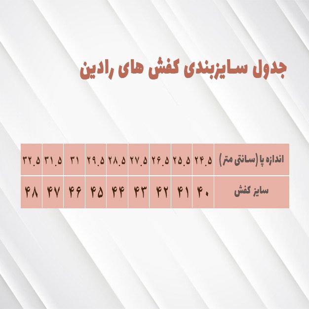 کفش مردانه رادین مدل ۳۱۳۳ -  - 9