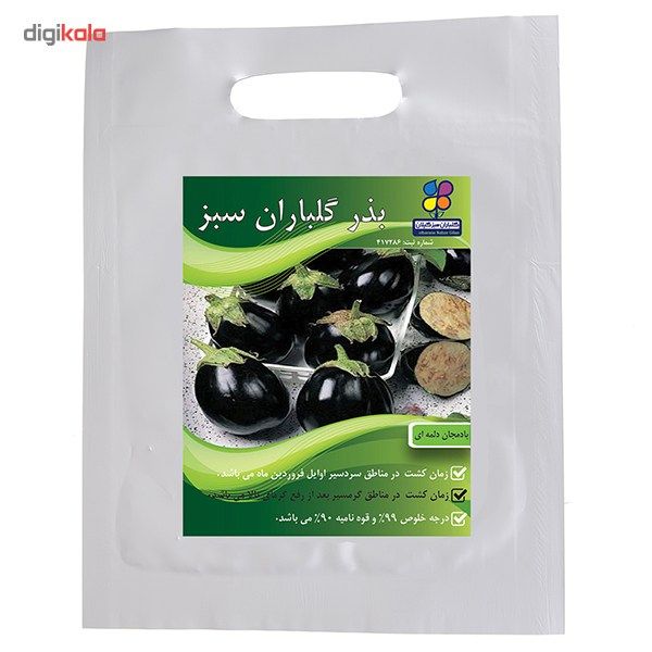 بذر بادمجان دلمه ای گلباران سبز بذر بادمجان دلمه ای گلباران سبز