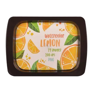 سینی مهروز مدل 2001 Lemon سایز 22×29 سانتی متر
