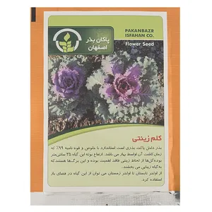 Pakan Bazr Ornamental Cabbage Seeds