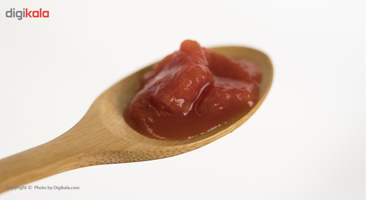 کنسرو گوجه فرنگی خرد شده روژین تاک مقدار 380 گرم