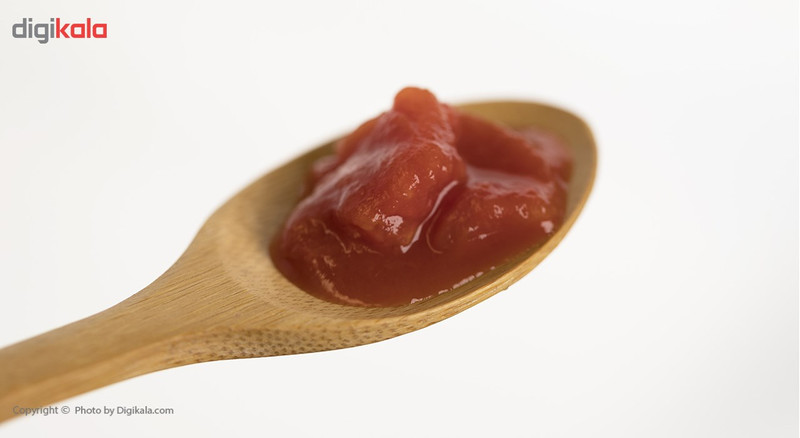 کنسرو گوجه فرنگی خرد شده روژین مقدار 380 گرم