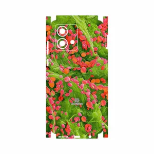 MAHOOT Atom Universe 3-FullSkin Cover Sticker for Motorola Moto G84