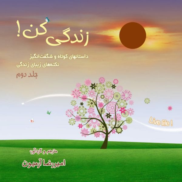 کتاب زندگی کن اثر امیررضا آرمیون - جلد دوم کتاب زندگی کن اثر امیررضا آرمیون - جلد دوم