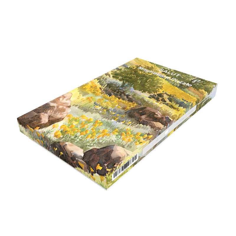 پازل 96 تکه سلوط مدل مربع کد 04446