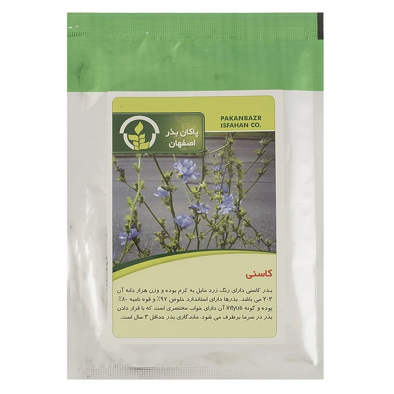 بذر کاسنی پاکان بذر