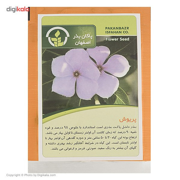 بذر گل پریوش پاکان بذر بذر گل پریوش پاکان بذر