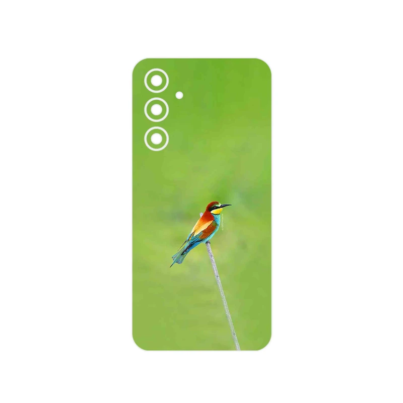 برچسب پوششی ماهوت مدل European bee-eater مناسب برای گوشی موبایل سامسونگ Galaxy A54