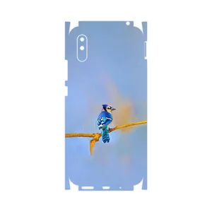 MAHOOT Cyanocitta cristata-FullSkin Cover Sticker for Xiaomi Redmi 9A