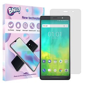 Bingo Tough model matte screen protector suitable for BlackBerry Evolve mobile phone 