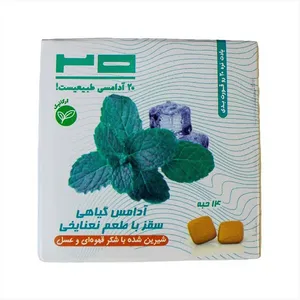 آدامس گیاهی سقز با طعم نعنا یخی بیست - 25 گرم
