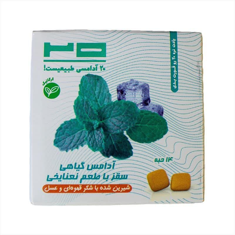 آدامس گیاهی سقز با طعم نعنا یخی بیست - 25 گرم