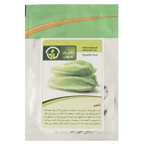 Pakan Bazr Lettuce Seeds