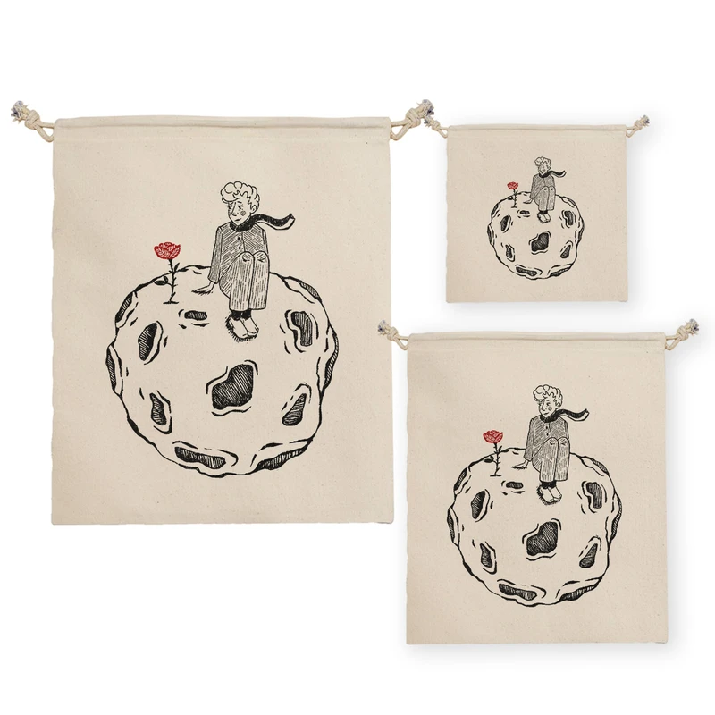 نظم دهنده ترمه طراحان ایده مدل شازده کوچولو و گل کد cfp2026 مجموعه سه عددی