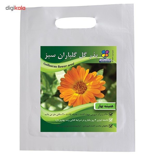 بذر گل همیشه بهار گلباران سبز بذر گل همیشه بهار گلباران سبز