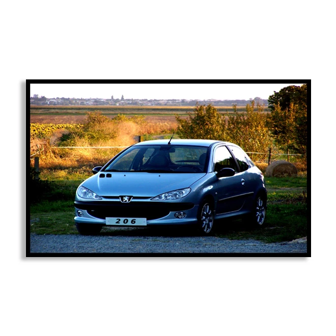 تابلو بکلیت طرح ماشین 206 مدل B-D1024