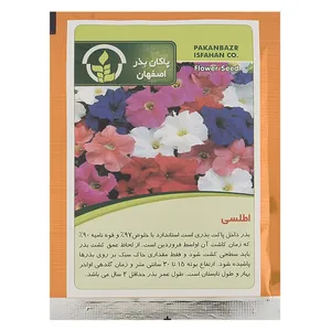 Pakan Bazr Petunia Flower Seeds