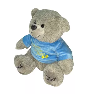 عروسک طرح خرس تدی مدل Pier the Teddy Bear کد SZ13/1088 طول 28 سانتی‌متر