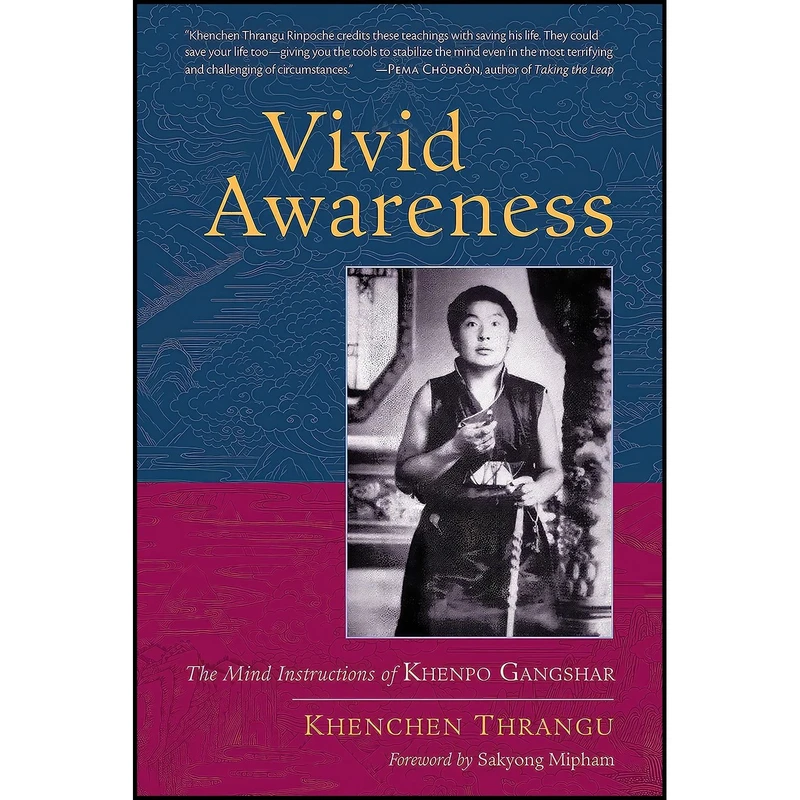 کتاب Vivid Awareness اثر Khenchen Thrangu and Sakyong Mipham انتشارات Shambhala