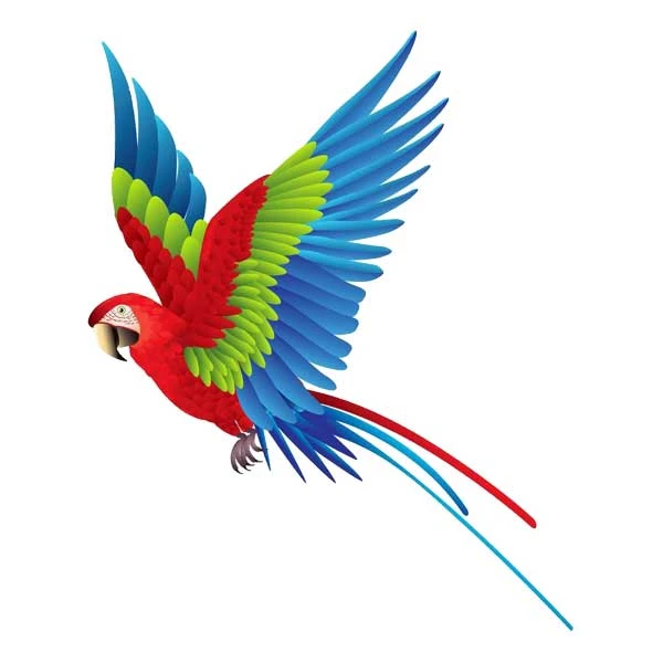 استیکر پارچه و لباس پاد آفرین مدل طوطی کد 1136