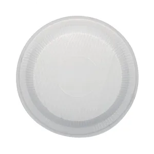 4609 Disposable Plate Pack of 20