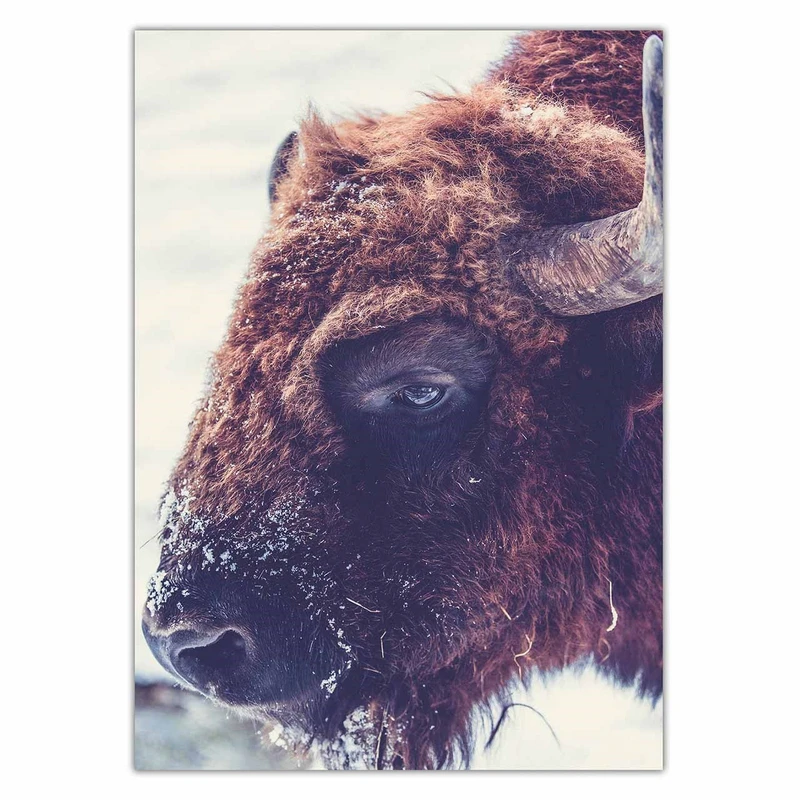 تابلو شاسی ونسونی طرح Buffalo سایز 50 × 70 سانتی متر