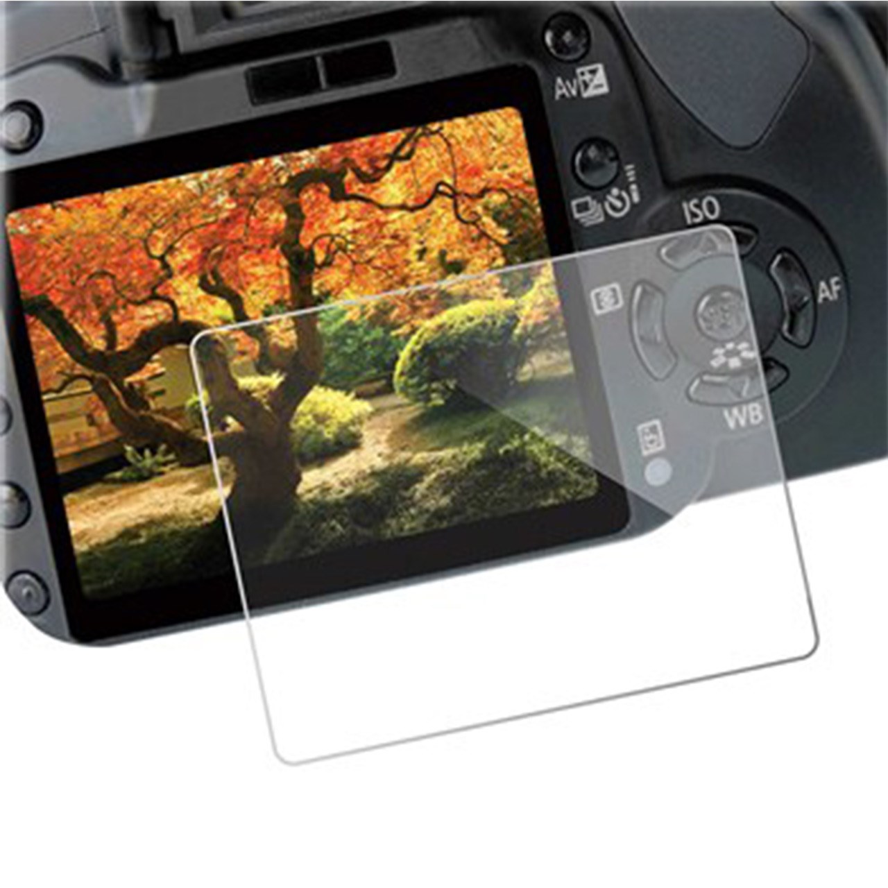 محافظ صفحه نمایش طلقی دوربین مناسب برای کانن 6D