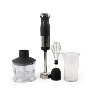 گوشت کوب برقی چندکاره 850 وات دسینی مدل HB100