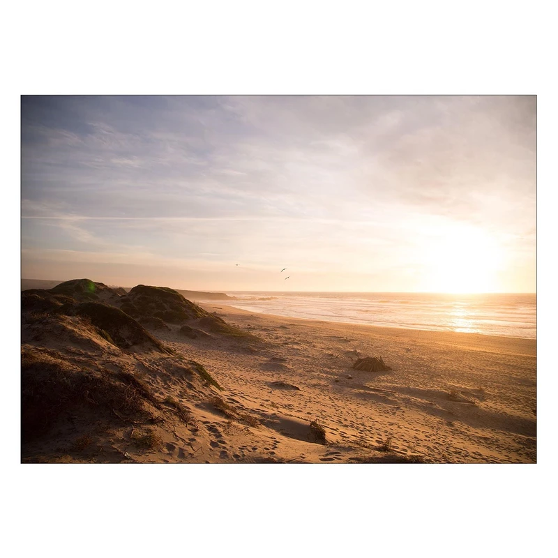 تابلو شاسی ونسونی طرح Sunny Beach سایز 50x70 سانتی متر