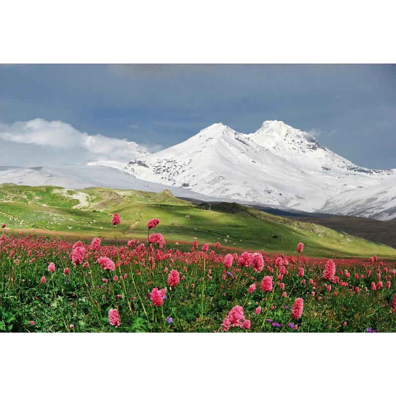 تابلو شاسی مدل کوه و برف و سبزه و گل سنبل T7061