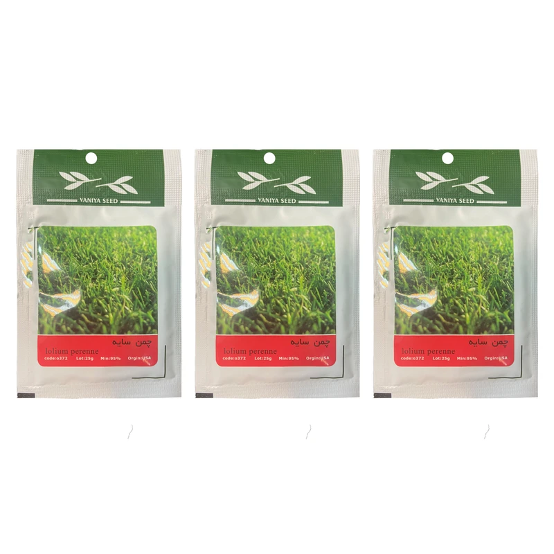بذر چمن سایه وانیا Lolium perenne بسته 3 عددی