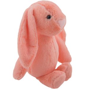 نقد و بررسی عروسک خرگوش جلی کت مدل Small Jellycat Rabbi توسط خریداران