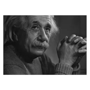 Wensoni Albert Einstein Chassis Size 70 x 50